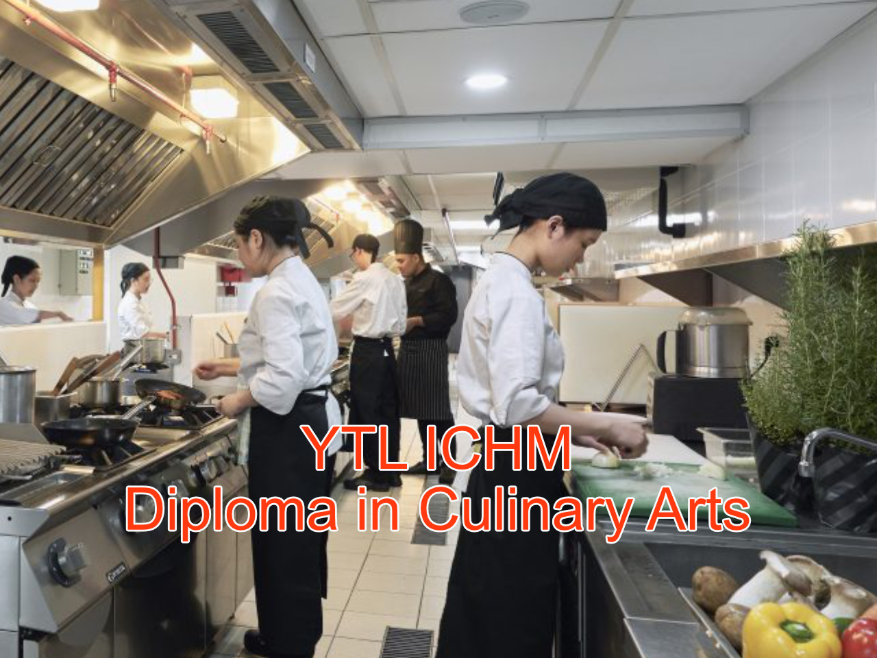 All you Need to Know About the Diploma in Culinary Arts at YTL International College of Hotel Management (YTL-ICHM)