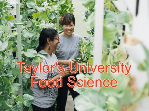 Top Reasons to Study Food Science at Taylor's University