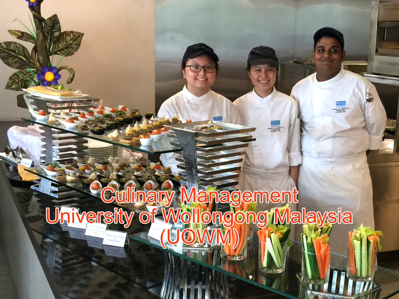 What is the Career of a Chef Like in Malaysia? Expert Advise